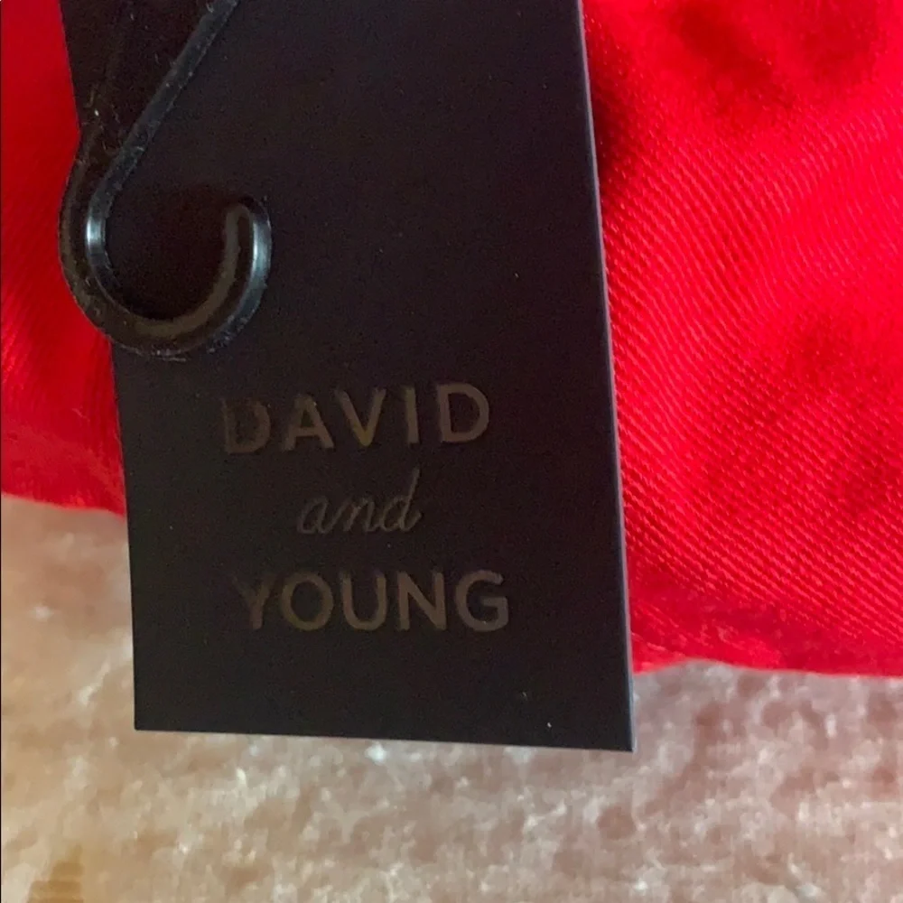 David & Young red Bae Watch baseball cap New with tag